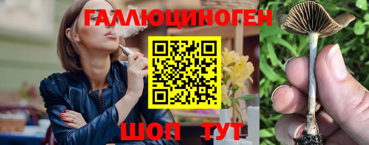 Углич  Галлюциногенные грибы Psilocybe  Вход с VPN 
